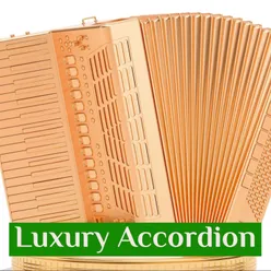 Luxury accordion