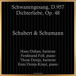 Schwanengesang, D. 957: XIII. Der Doppelgänger