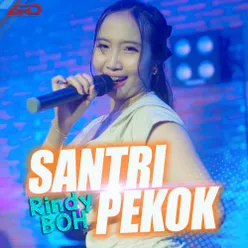 Santri Pekok