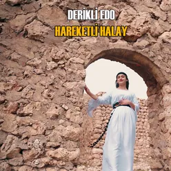 Hareketli Halay