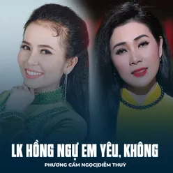 LK Hồng Ngự Em Yêu, Không