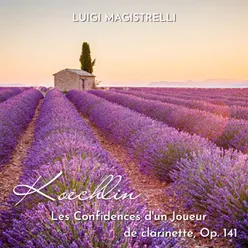 Les Confidences d'un Joueur de Clarinette, Op. 141: No. 3, Le bouquet de fleurs des champs pour Magrédel