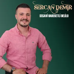 Segavi Hareketli Delilo