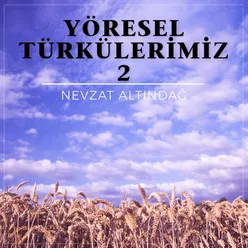 Yöresel Türkülerimiz, Vol. 2