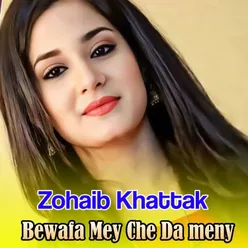 Bewafa Mey Che da meny