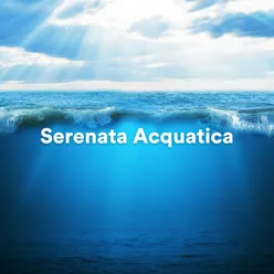 Atmosfera Serale sull'Acqua