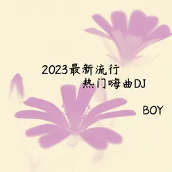 2023最新热门嗨曲DJ