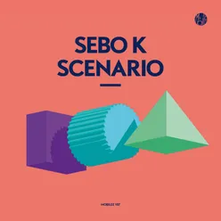 Scenario