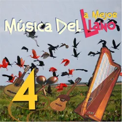 La Mejor Música Del Llano, Vol.4