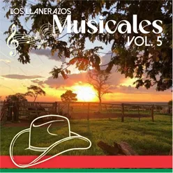 Los Llanerazos Musicales, Vol.5