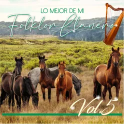 Lo Mejor De Mi Folklor Llanero, Vol.5