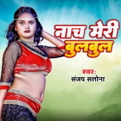 Nach Meri bulbul