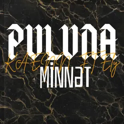 Puluna Minnət