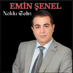 Noldu Gelin