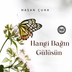 Hangi Bağın Gülüsün