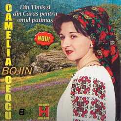 Instrumentala Camelia Bojin Ceocu