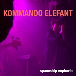 Spaceship Euphorie