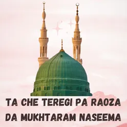 Pa Madina Ke Da Zakhmi Zrono Qarar De