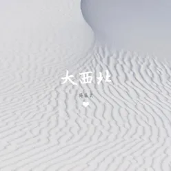 大西北