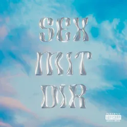 Sex mit dir