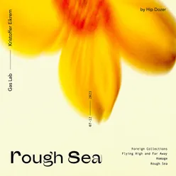 Rough Sea