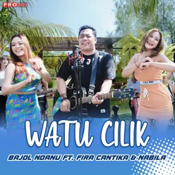 Watu Cilik