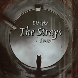 THE STRAYS