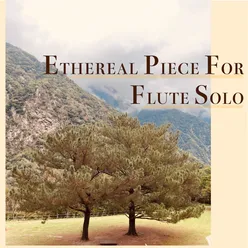ETHEREAL PIECE FOR FLUTE SOLO