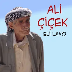 Eli Lavo