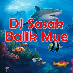 DJ Sasak Balik Mue