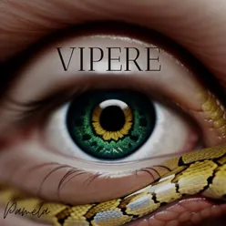 Vipere