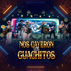 Nos Cayeron los Guachitos