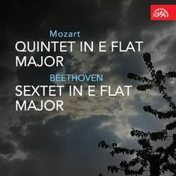 Sextet for 2 Clarinets, 2 French Horns and 2 Bassoons in E-Flat Major, Op. 71: III. Menuetto. Quasi allegretto