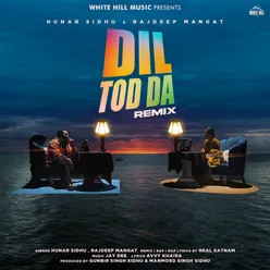 Dil Tod Da (Remix)