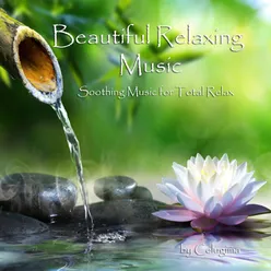 Beauiful relaxing music