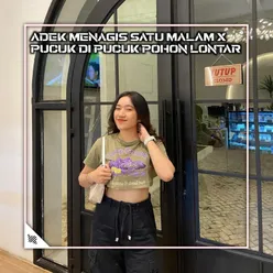 ADEK MENAGIS SATU MALAM X PUCUK DI PUCUK POHON LONTAR