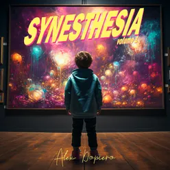 Synesthesia, vol. 1