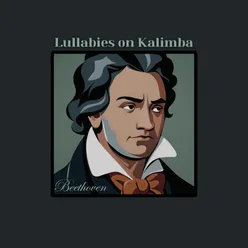 Beethoven : Pathetique 2nd Mvt. (Kalimba)