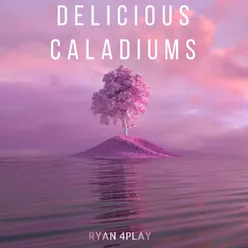 Delicious Caladiums