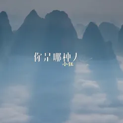 你是哪种人