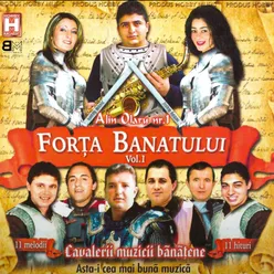 FORTA BANATULUI Vol. 1 "Cavalerii muzicii banatene"