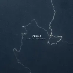 Veins