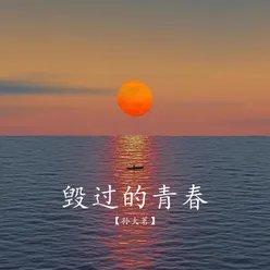 毁过的青春