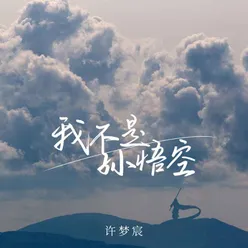 我不是孙悟空