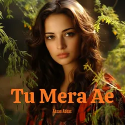 Tu Mera Ae