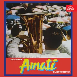 Das Junior Amati - Blasorchester