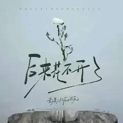 后来花不开了