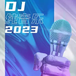 DJ纯音乐2023
