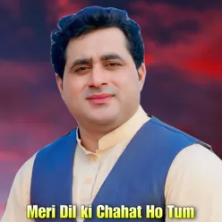 Meri Dil ki Chahat Ho Tum