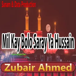 Mil Kay Bolo Saray Ya Hussain